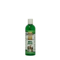 Envirogroom Mint Julep Texturizing Herbal Shampoo 17oz