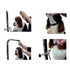 Groomers Helper 3/8" Small Dog Loop -Wahl Pet Care Shop GH L01 4