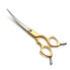 Groomtech Aurora Asian Fusion Shear Curved 6" [Gold] -Wahl Pet Care Shop GT AU360CY