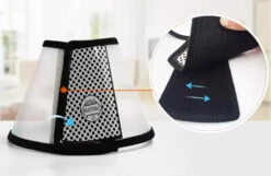 Groomtech Elizabethan Collar #8, Neck Circum 38-45cm, Depth 21cm -Wahl Pet Care Shop GT ECA08 1