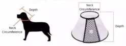 Groomtech Elizabethan Collar #8, Neck Circum 38-45cm, Depth 21cm -Wahl Pet Care Shop GT ECA08 4