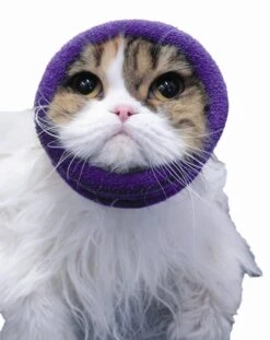 Happy Hoodie Pink, X-Small -Wahl Pet Care Shop HH 00 PK 9