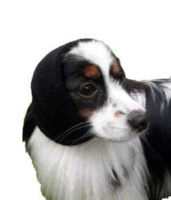 Happy Hoodie Purple, X-Small -Wahl Pet Care Shop HH 00 PP 3