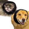 Happy Hoodie Black, Pack Of 2 -Wahl Pet Care Shop HH 01 BK