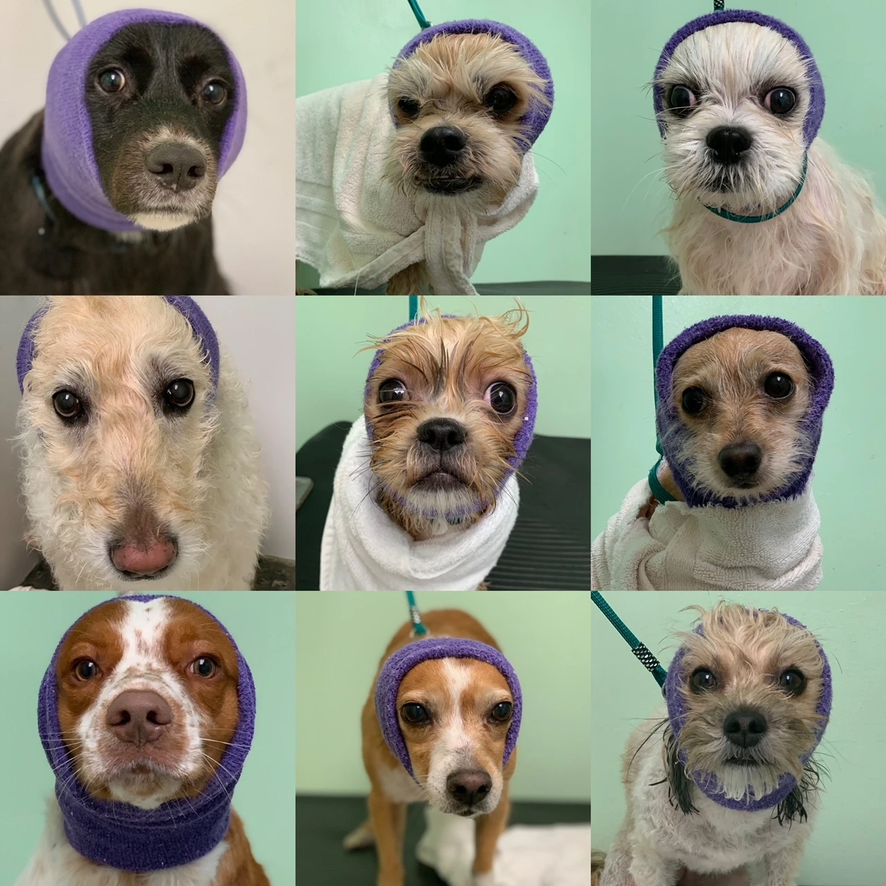 Happy Hoodie Pink, Pack Of 2 5 Happy Hoodie Pink, Pack Of 2 - Image 3