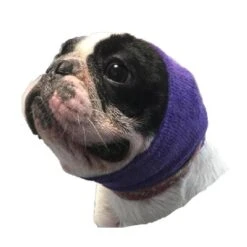 Happy Hoodie Purple, Pack Of 2 -Wahl Pet Care Shop HH 01 PP 5