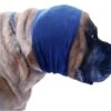 Happy Hoodie Blue, X-Large -Wahl Pet Care Shop HH 02 BU