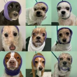 Happy Hoodie Blue, X-Large -Wahl Pet Care Shop HH 02 BU 2