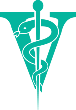 Joyzze Hornet Mini Trimmer 2 Speed [Teal] -Wahl Pet Care Shop JY 99027 8