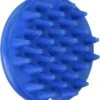 Grooma Original Curry Brush (Blue) -Wahl Pet Care Shop MC GR 710