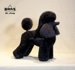 Mr. Jiang Poodle Lamb Clip Full Body Coat / Model Dog [Black] -Wahl Pet Care Shop MJ PC02K 1