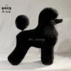 Mr. Jiang Poodle Lamb Clip Full Body Coat / Model Dog [Black] -Wahl Pet Care Shop MJ PC02K