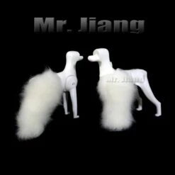 Mr. Jiang Practice Leg Hair [FRONT RIGHT] / Model Dog -Wahl Pet Care Shop MJ PH01R 3