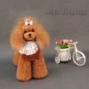 Mr. Jiang Teddy Bear Full Body Coat / Model Dog [Brown] -Wahl Pet Care Shop MJ TB02B