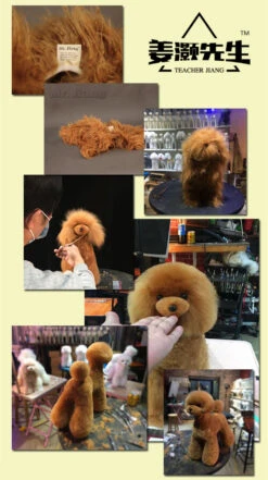 Mr. Jiang Teddy Bear Full Body Coat / Model Dog [Brown] -Wahl Pet Care Shop MJ TB02B 6