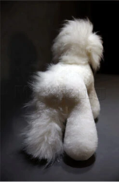 Mr. Jiang Teddy Bear Full Body Coat / Model Dog [White] -Wahl Pet Care Shop MJ TB02W 8
