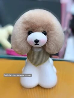 Mr. Jiang Teddy Bear Head Hair / Model Dog [Champagne] -Wahl Pet Care Shop MJ TB04C 2