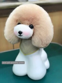 Mr. Jiang Teddy Bear Head Hair / Model Dog [Champagne] -Wahl Pet Care Shop MJ TB04C 3