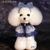 Mr. Jiang Teddy Bear Head Hair / Model Dog [White] -Wahl Pet Care Shop MJ TB04W