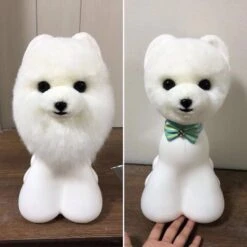 Mr. Jiang Teddy Bear Head Hair / Model Dog [White] -Wahl Pet Care Shop MJ TB04W 3
