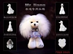 Mr. Jiang Teddy Bear Head Hair / Model Dog [White] -Wahl Pet Care Shop MJ TB04W 5