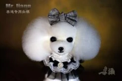 Mr. Jiang Teddy Bear Head Hair / Model Dog [White] -Wahl Pet Care Shop MJ TB04W 6