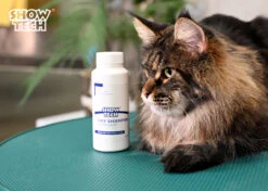 Show Tech Dry Shampoo 100g -Wahl Pet Care Shop ST 90021 4