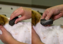 Show Tech Stripping Stone 9x6x2.5cm -Wahl Pet Care Shop ST 90070 2