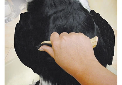 Show Tech Ultra Pro Set Of 4 Stripping Knife 9 Show Tech Ultra Pro Set Of 4 Stripping Knife - Image 7