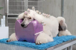 Show Tech Topknot Cushion Pillow Glitzy Purple - Medium -Wahl Pet Care Shop ST 94915 2