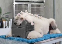 Show Tech Topknot Cushion Pillow Glitzy Black - Small -Wahl Pet Care Shop ST 94917 3