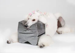 Show Tech Topknot Cushion Pillow Glitzy Black - Medium 11 Show Tech Topknot Cushion Pillow Glitzy Black - Medium -Wahl Pet Care Shop ST 94918 3