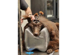 Show Tech Topknot Cushion Pillow Glitzy Black - Large -Wahl Pet Care Shop ST 94919 5