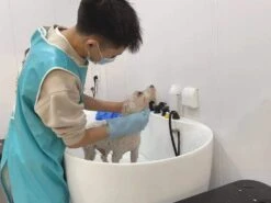 Aeolus Acrylic Bathing Tub With Faucet And Sprayer Kit - Free Booster -Wahl Pet Care Shop T BTF1200DB 3