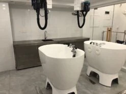 Aeolus Acrylic Bathing Tub With Faucet And Sprayer Kit - Free Booster -Wahl Pet Care Shop T BTF1200DB 5