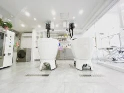 Aeolus Acrylic Bathing Tub With Faucet And Sprayer Kit - Free Booster -Wahl Pet Care Shop T BTF1200DB 6