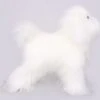 KissGrooming Teddy Bear Coat For Model Dog Mannequin [White] -Wahl Pet Care Shop T RMD22B1