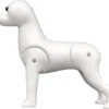 KissGrooming Bichon Frise Mannequin Model Dog -Wahl Pet Care Shop T RMD3101