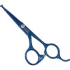 Swan Facial Scissors Round Tip 4.5" [Blue] -Wahl Pet Care Shop T SW54145